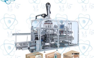 Automatic Grab-Type Case Packer