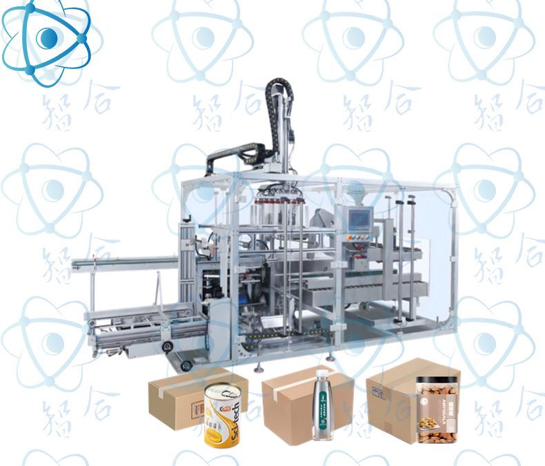 Automatic Grab-Type Case Packer